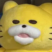 くろねこ61の画像