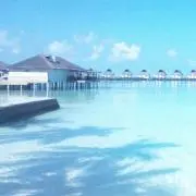 絆愛の画像