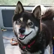 あっこ