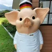 たいしんパパ