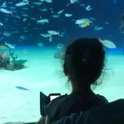 天パちゃん♪の画像