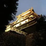 たあによし