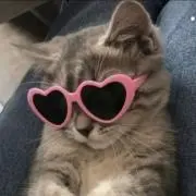 ❤︎❤︎❤︎の画像