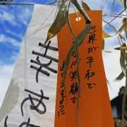 СТВの画像