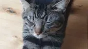 きそらの画像