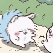 りの画像