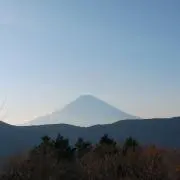マグロの画像