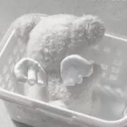 このの画像