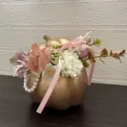かぼちゃんの画像