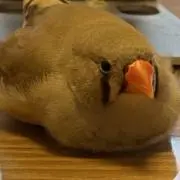 すけさん