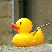 なのはなの画像