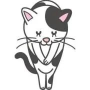 kaiの画像