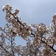 ふーちゃんの画像