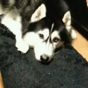 Jack