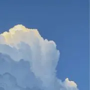 Yuの画像
