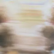 haの画像