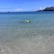 しゅ