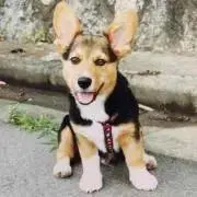 と〜ん★ プロフ読んで下さいの画像