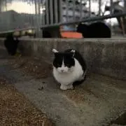 まーちゃん