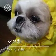 ラッキー