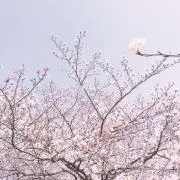 じゅんの画像