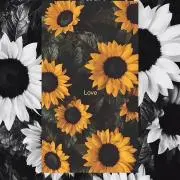 tournesol 3♡コメントお気軽にの画像