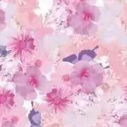 xy.即購入◎引越しの為大幅値下げ中！の画像