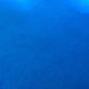 luluの画像