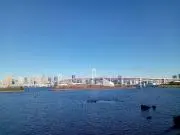りんごの画像