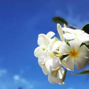 縁側でひなたぼっこ