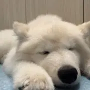 みなみかわの画像