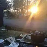 ひなはるひよの画像