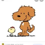 ぽるど！の画像