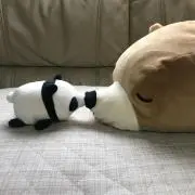 ぱんだとくまの画像