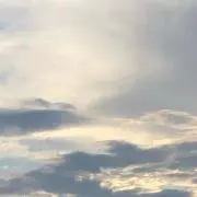 まーの画像