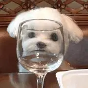 승‌　プロフ必読の画像