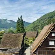 ケイの画像