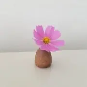 れおん10の画像