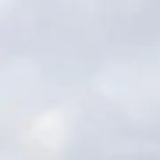 わーお！！