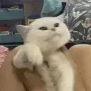 まりあ