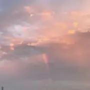 ひよ