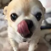 プロフィール読まれてから購入して下さいの画像