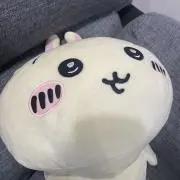 うどんの画像