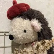 といぷーの画像