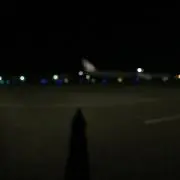 ぺーこの画像