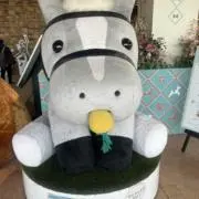 うまこ