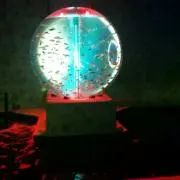 立花