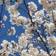なお