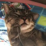 みっちゃんみ
