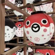 メイの画像